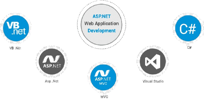 Custom ASP.NET Applications